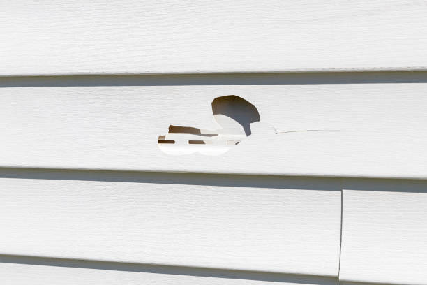 Best Siding Removal and Disposal  in Farmville, VA