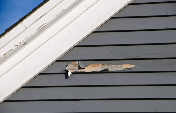 Best Composite Siding  in Farmville, VA