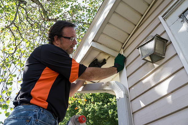 Affordable siding repair and maintenance services in Farmville, VA